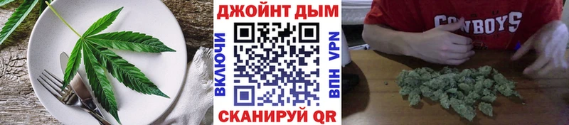 Canna-Cookies марихуана  Купить  Каргат 