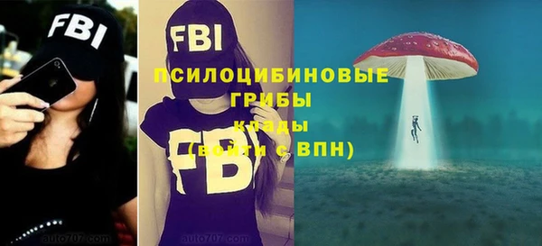 каннабис Дмитров