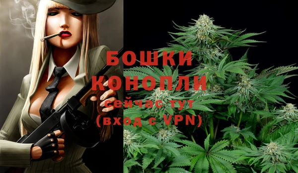 дживик Дмитровск
