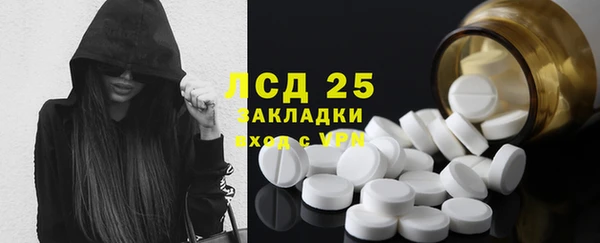 мяу мяу мука Дмитриев