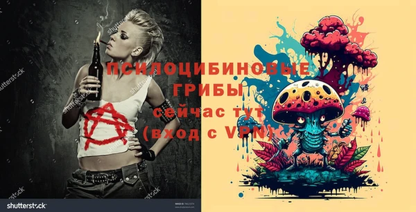 каннабис Дмитров