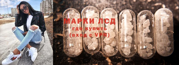 мяу мяу мука Дмитриев