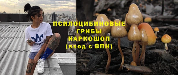 каннабис Дмитров