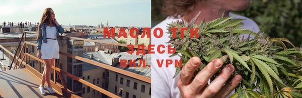 мяу мяу мука Дмитриев