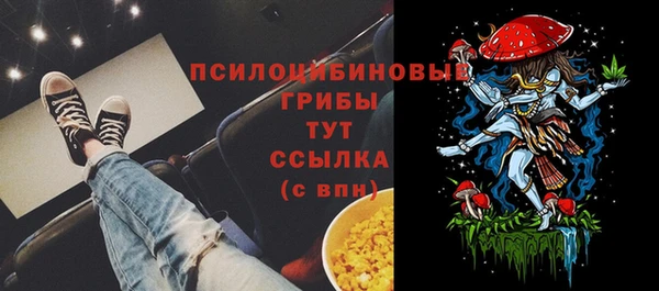 мяу мяу мука Дмитриев