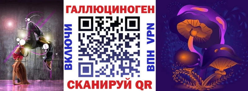 Купить где  Каргат  Псилоцибиновые грибы Psilocybine cubensis 